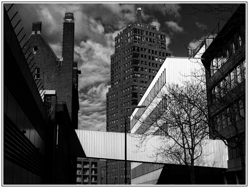 CJ-var-Rotterdam-silver efex.jpg